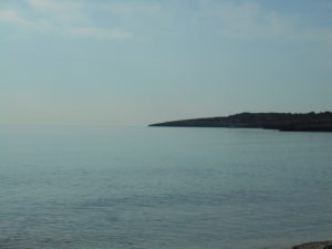 DSCN2325